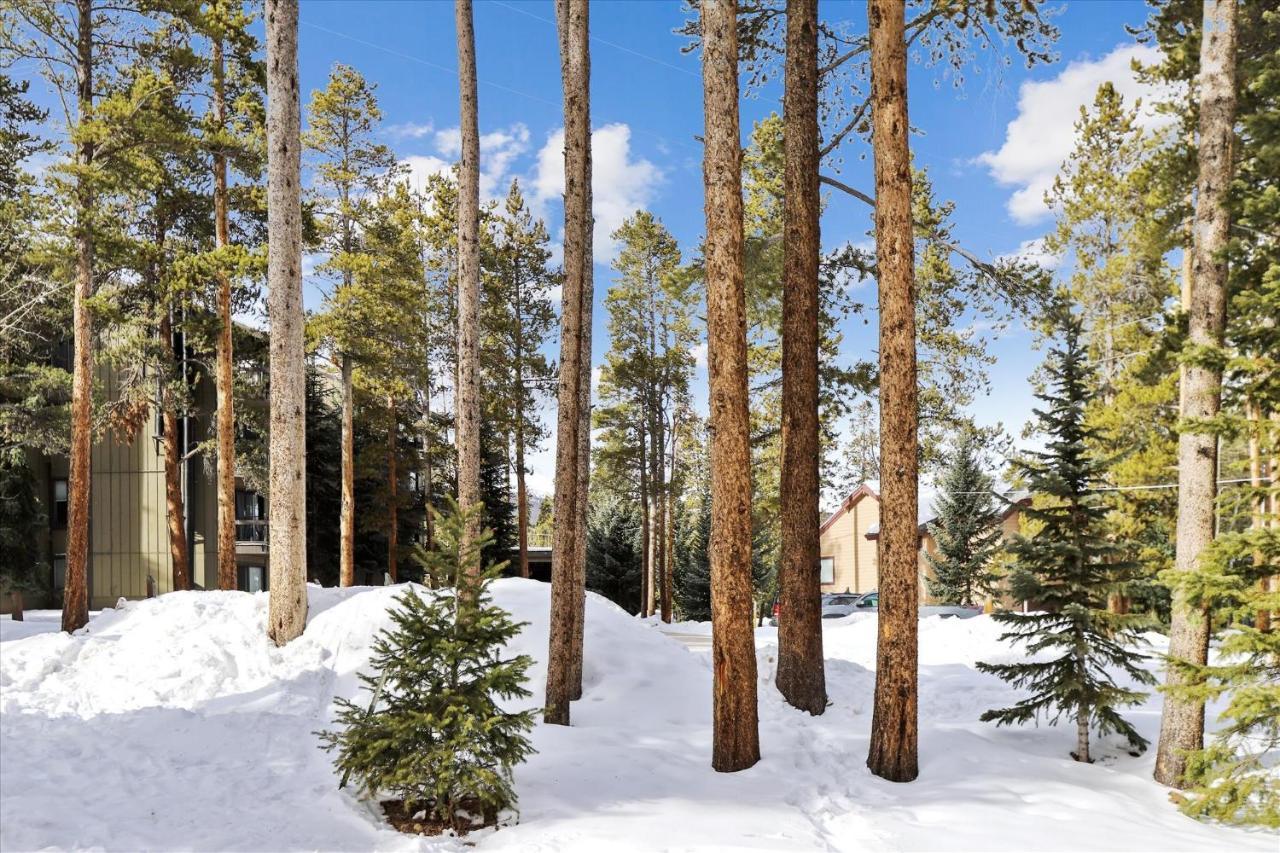 Park Forest Estates Брекънридж Екстериор снимка